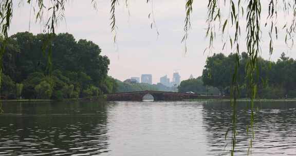 杭州西湖夏天西冷桥风光