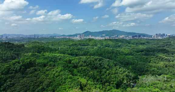 【正版素材】龙华大水坑水库0234