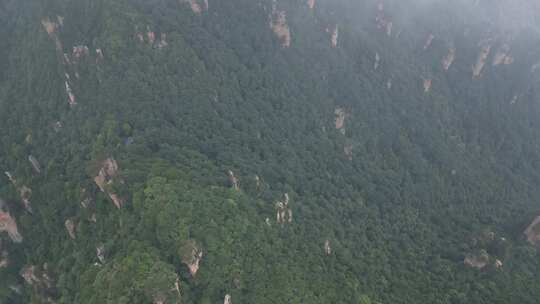 湖南省张家界景区阿凡达取景地奇峰穿云航拍