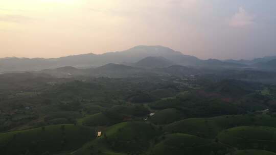 越南龙可可茶山的鸟瞰图。自然背景