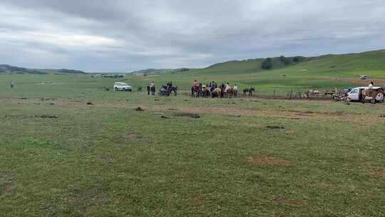 围栏里的马旅游骑马体验