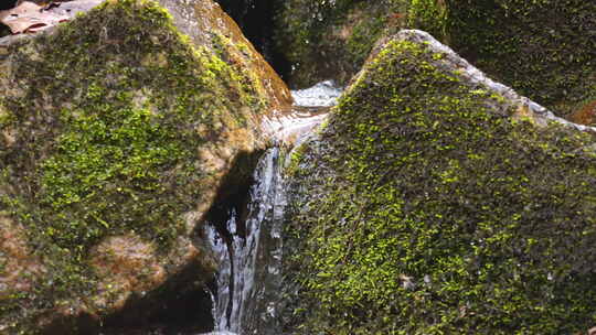 清澈的山间溪水 河流 溪流 溪水