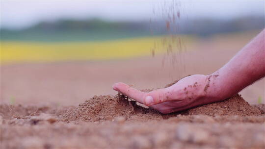 一只手接住洒下来的土壤