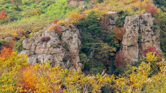 秋色秋叶峡谷山谷山巅