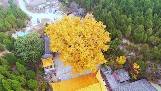 山东济南淌豆寺秋天航拍寺庙