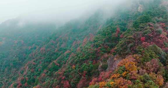 五彩斑斓的高山