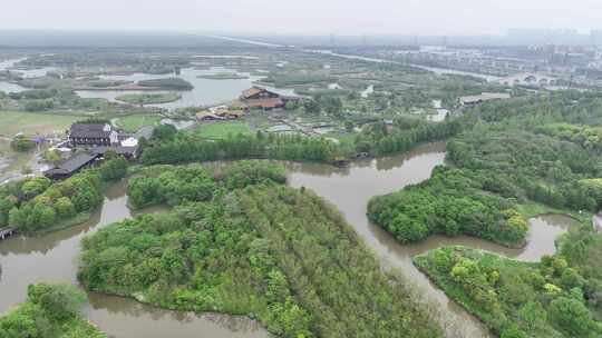 杭州湾湿地公园马拉松