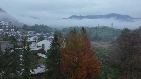 秋天森林云海