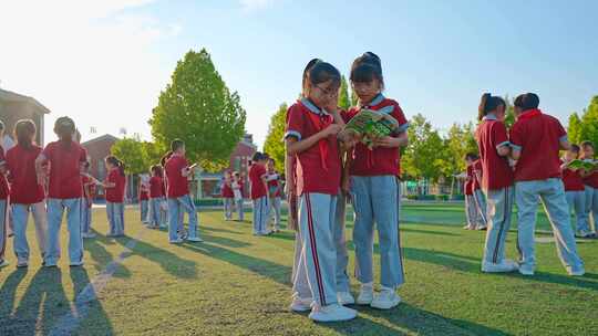 小学生读书儿童教育