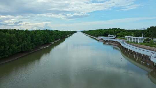 4k广东江门滨海新区银湖湾湿地红树林航拍