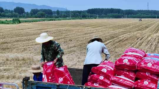 农村农民农业拖拉机播种玉米