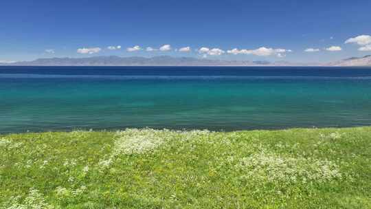 新疆赛里木湖草原湿地自然风光航拍