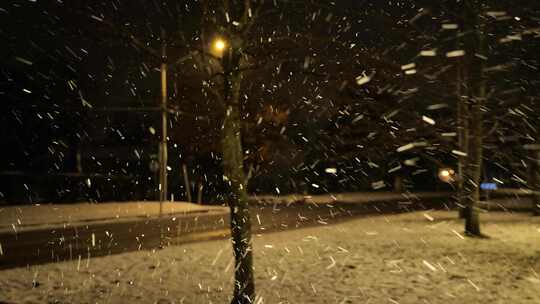 冬天夜里的雪景