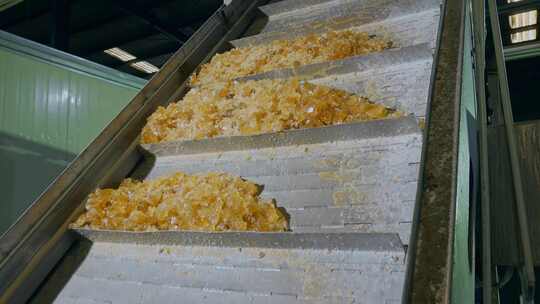工业糖厂生产冰糖传动筛选输送带