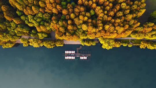 杭州西湖秋色航拍视频素材模板下载
