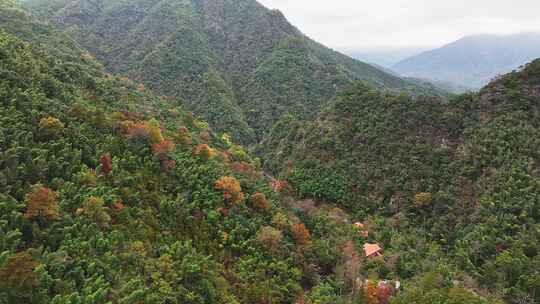 靖安隐仙谷山区1