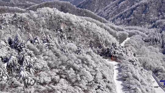 陕西秦岭分水岭雾凇冰挂雪景