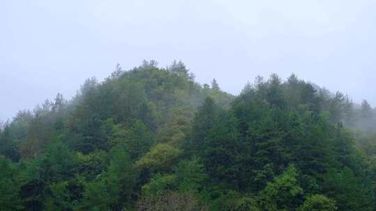 初秋雨中山脉云雾缭绕的绝美自然风光