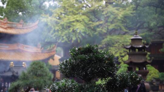 浙江普陀山法雨寺禅院建筑4K视频