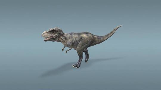 霸王龙 食肉恐龙 恐龙 三维 动画 古代视频素材模板下载