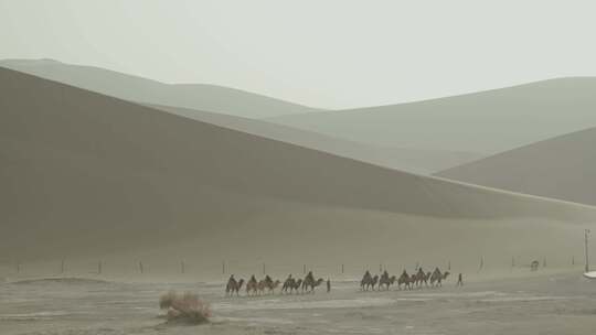 沙漠中骑着骆驼前行的人们