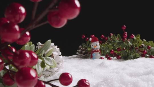 人造雪上的装饰浆果视频素材模板下载