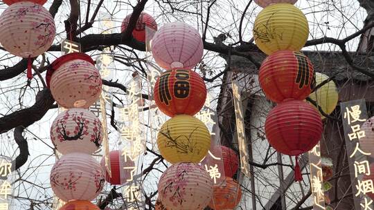 中式灯笼特写