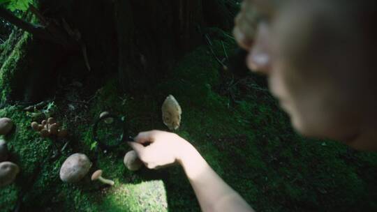 女人在森林里用放大镜观察菌类