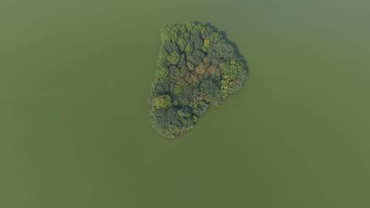 湖面岛屿风景航拍