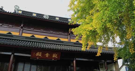 唯美苏州北寺塔秋天银杏古建筑