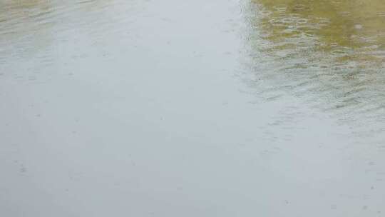 细密的小雨掉落在河面泛起涟漪视频素材模板下载