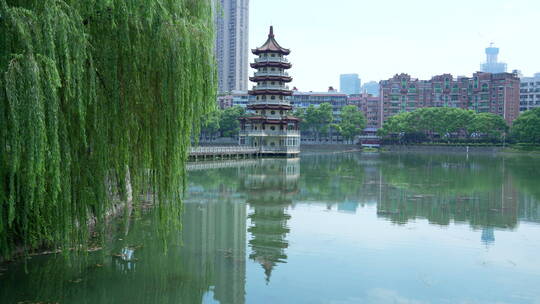 武汉汉口宝岛公园风景