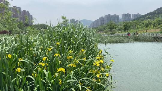 济南凤凰湖水库风光，龙洞风景区