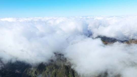 山云雾生态大自然森林晨雾山川山林雾