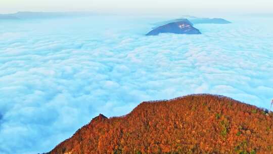 大气航拍巫峡云海红叶