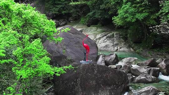 桂林华江森林瀑布溪流