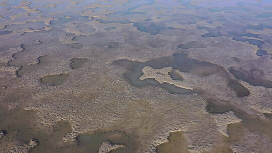 冬季湿地沼泽