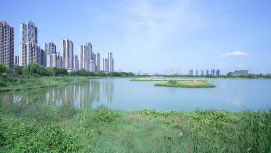 武汉杨春湖城市生态公园风景