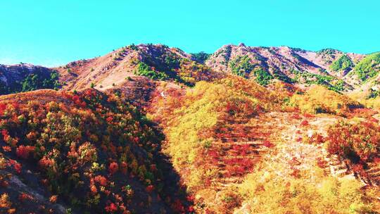 辽宁秋色  葫芦岛山村秋色  绥中风光  4K