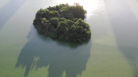 湖面绿色森林飞鸟绿色生态自然环境植被航拍
