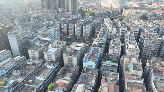 城市上空鸽子飞鸟航拍鸟群城市飞翔一群鸽子