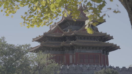 故宫秋天空镜 北京秋天意境 古城秋日