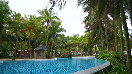 海南三亚椰林与蓝色透明游泳池