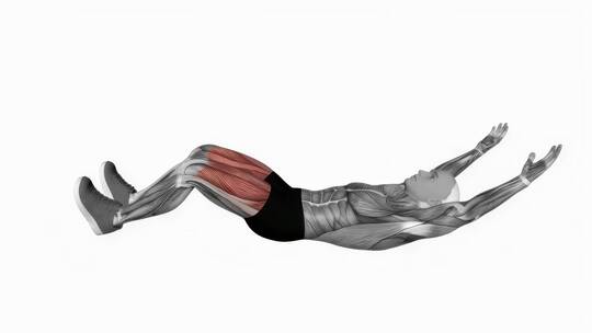 人体仰卧起坐健身运动健身动画3D演示