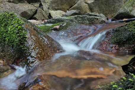 小溪延时摄像森林流水绿色自然