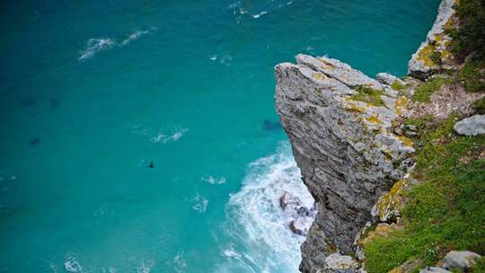 大海海岸海鸟飞翔捕食飞行飞上悬崖悬崖峭壁