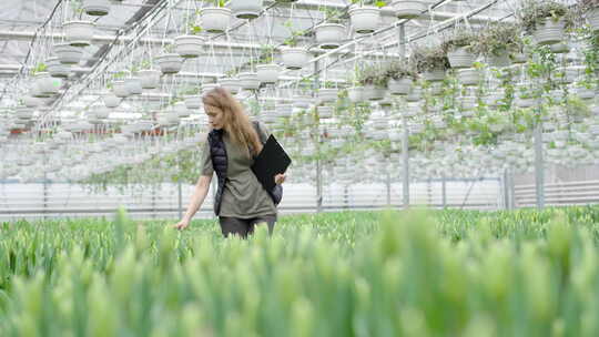 女人拿着笔记本在温室植物中行走