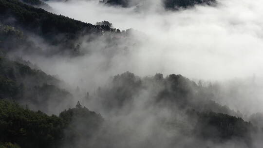 江西某地航拍高山云雾云海森林