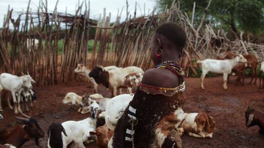 女孩身穿传统服饰站在羊群里视频素材模板下载