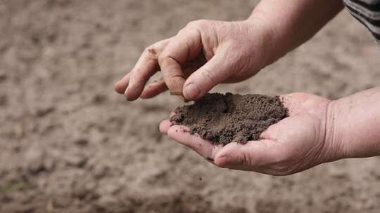 检查土壤的质量和肥料
